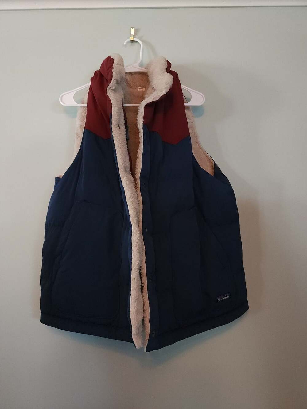 Gorpcore Outdoors Patagonia Men's Reversible Bivy Down Vest